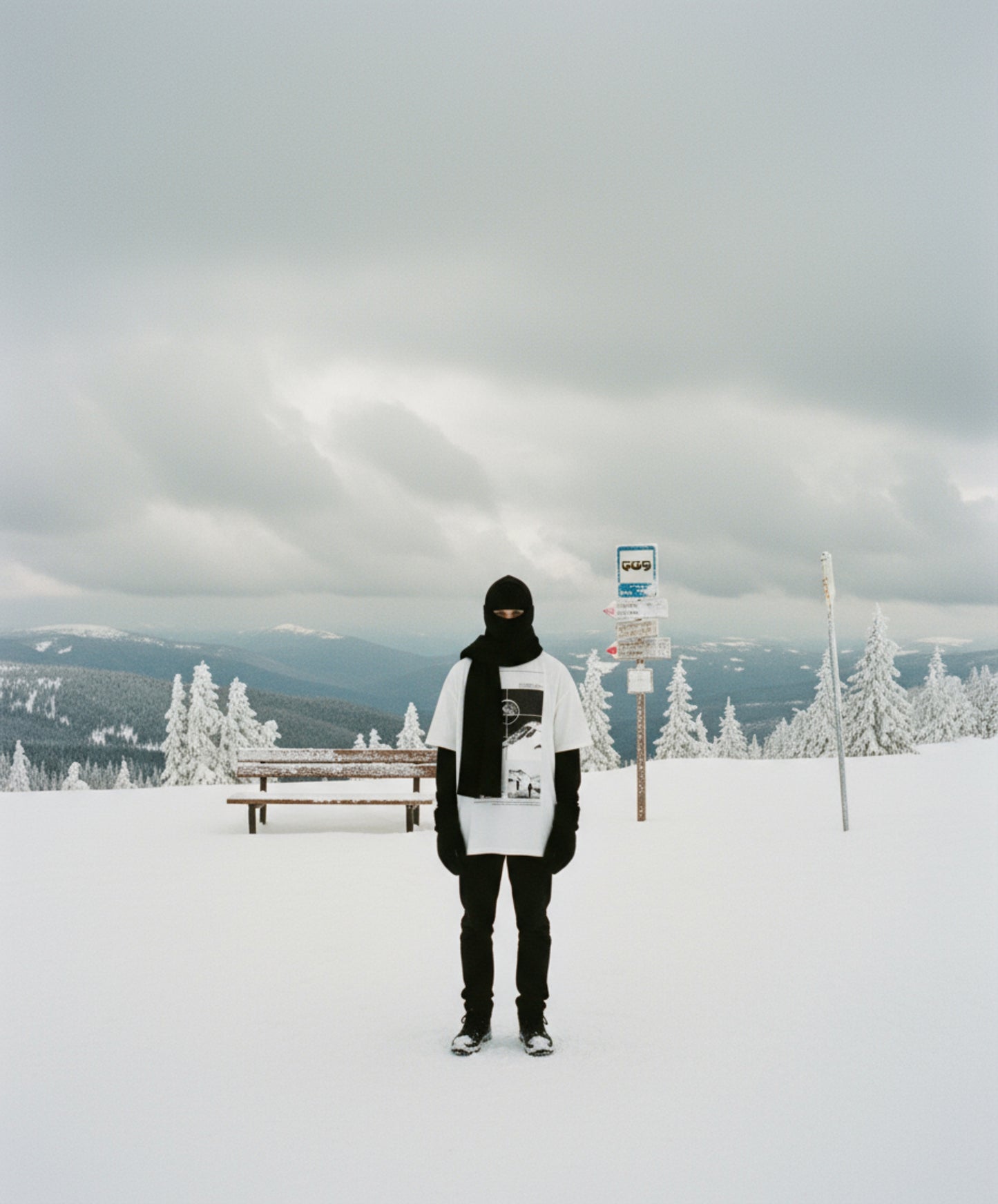 „The Peaks Will Outlive Us“ OS_Shirt